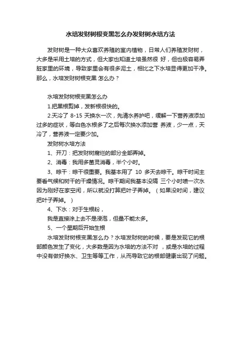 水培发财树根变黑怎么办发财树水培方法