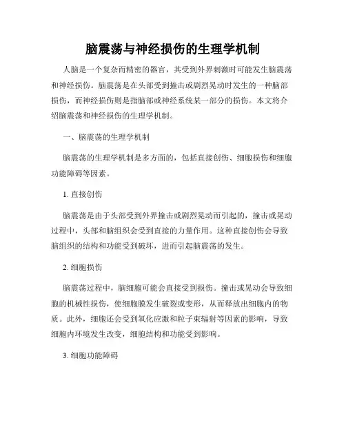 脑震荡与神经损伤的生理学机制