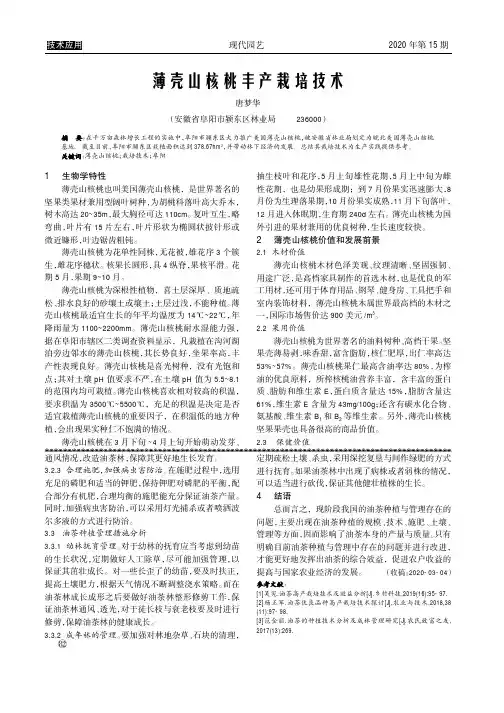 薄壳山核桃丰产栽培技术