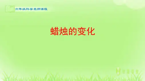 科学_蜡烛的变化_课件