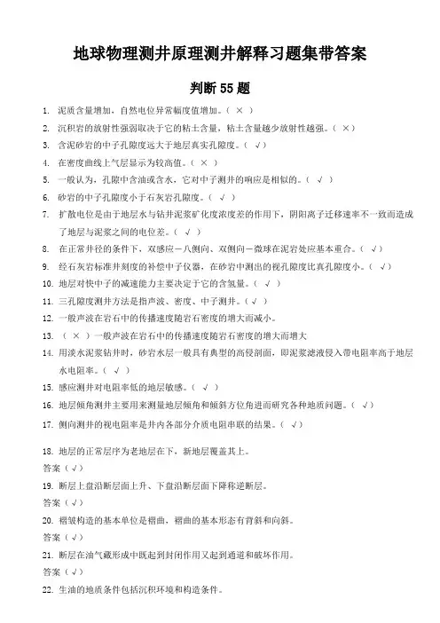 地球物理测井原理测井解释习题集11