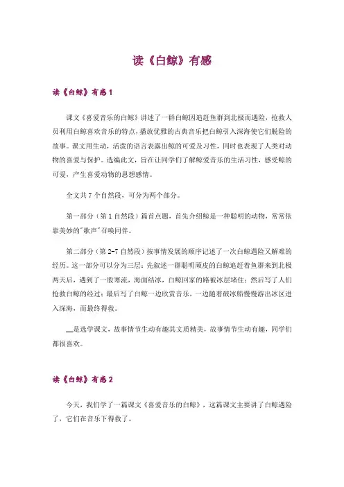 读《白鲸》有感