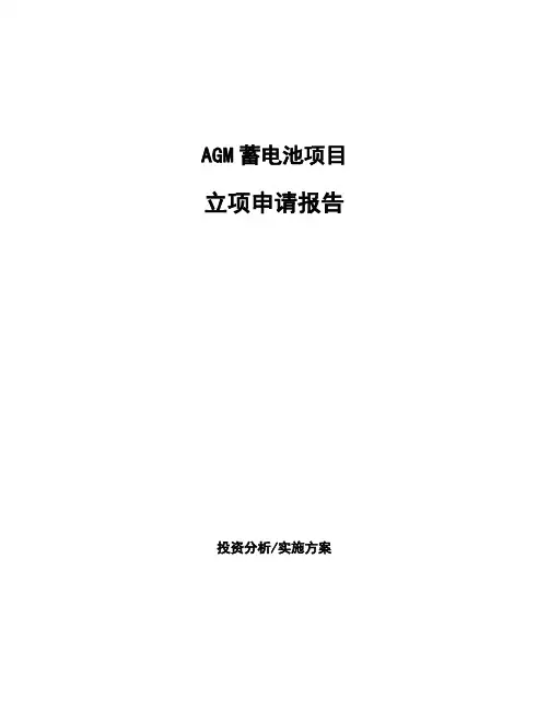AGM蓄电池项目立项申请报告