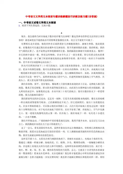 中考语文文学类文本阅读专题训练解题技巧讲解及练习题(含答案)