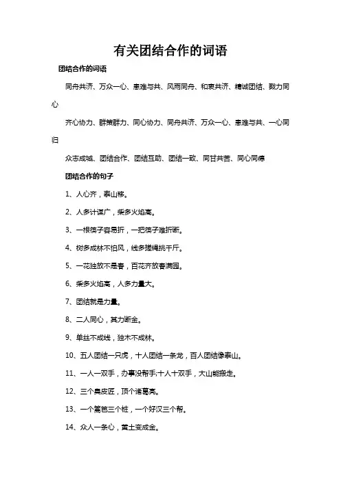 有关团结合作的词语
