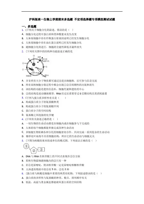 沪科版高一生物上学期期末多选题 不定项选择题专项模拟测试试题