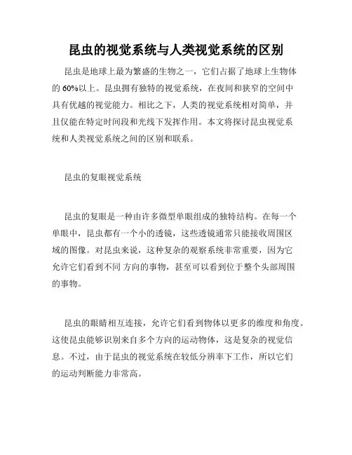 昆虫的视觉系统与人类视觉系统的区别