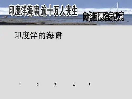 印度洋的海啸