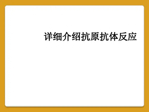 详细介绍抗原抗体反应