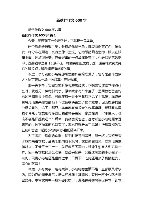 新伙伴作文600字八篇