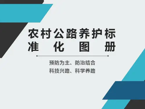 农村公路养护标准化图册
