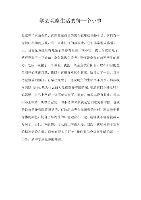 六年级叙事学会观察生活的每一个小事