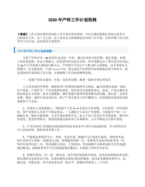2020年产科工作计划范例