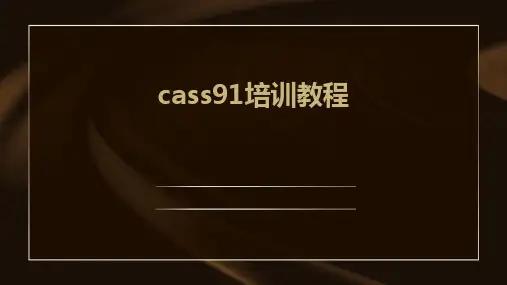 cass91培训教程