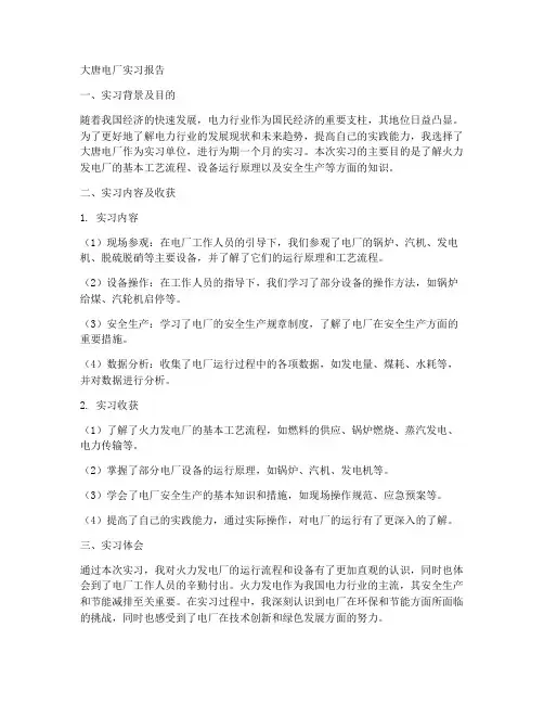 大唐电厂实习报告