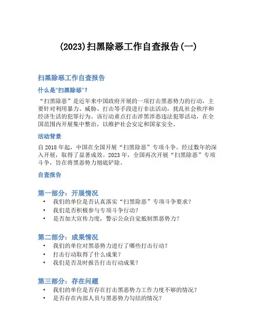 (2023)扫黑除恶工作自查报告(一)