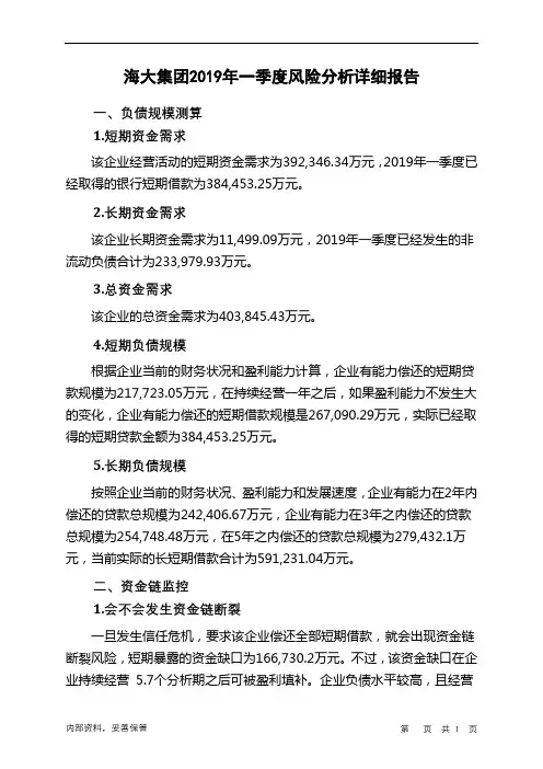 海大集团2019年一季度财务风险分析详细报告