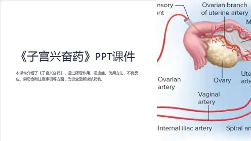 《子宫兴奋药》课件