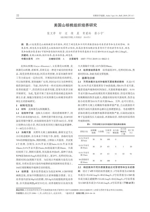 美国山核桃组织培养研究