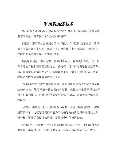 矿尾泥提炼技术