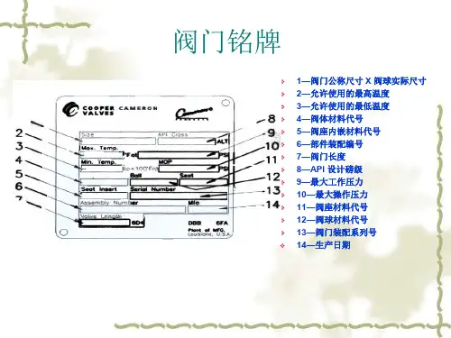 Camron全焊接球阀