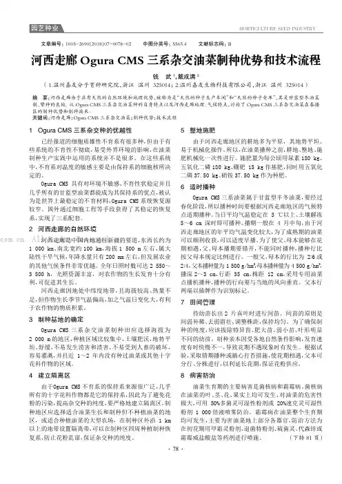 河西走廊 Ogura CMS 三系杂交油菜制种优势和技术流程