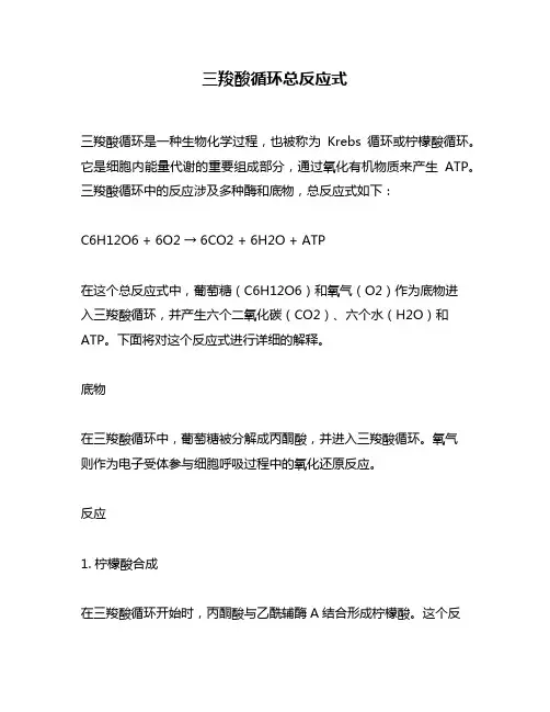 三羧酸循环总反应式