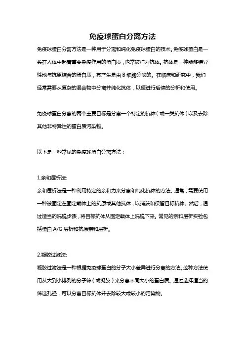免疫球蛋白分离方法