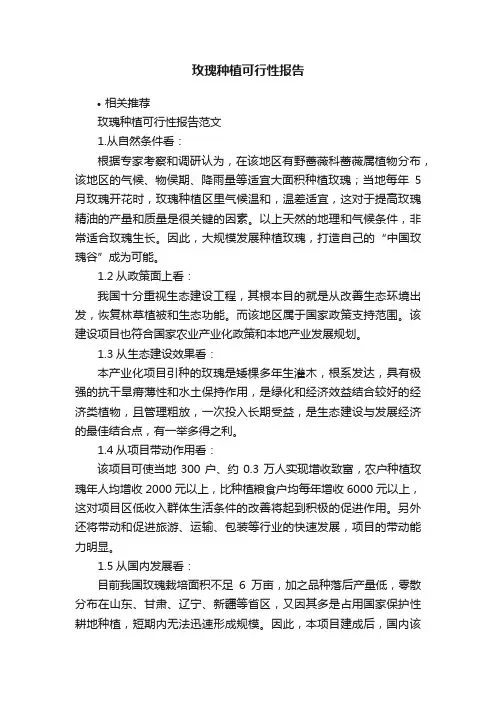 玫瑰种植可行性报告