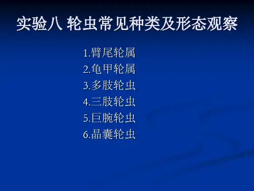 实验八轮虫常见种类及形态观察