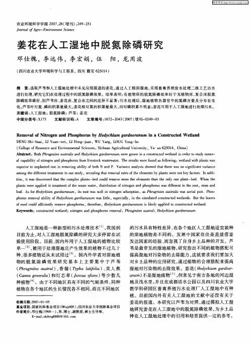 姜花在人工湿地中脱氮除磷研究