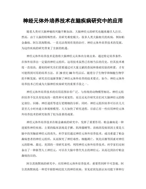 神经元体外培养技术在脑疾病研究中的应用