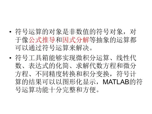 第三章符号运算36页PPT