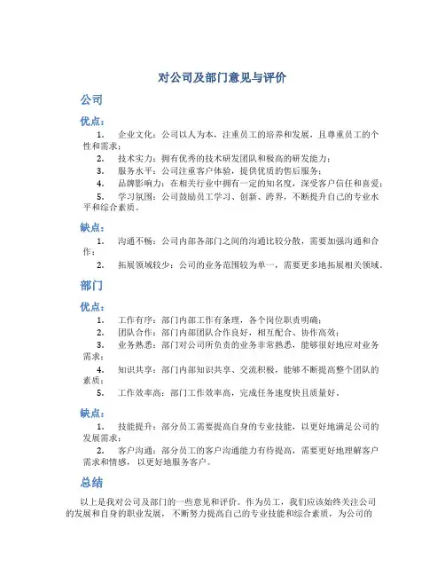 对公司及部门意见与评价