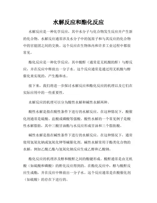 水解反应和酯化反应