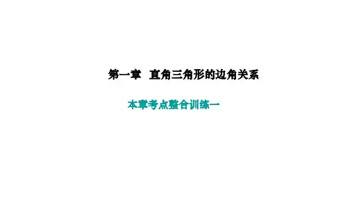 北师版九年级数学下册作业课件 第一章 直角三角形的边角关系 本章考点整合训练一