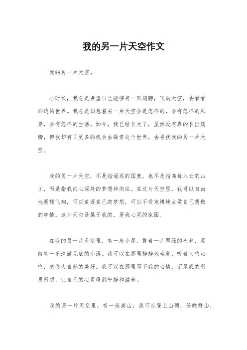 我的另一片天空作文