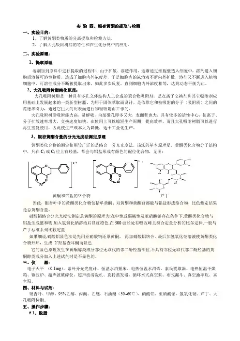银杏黄酮制备实验