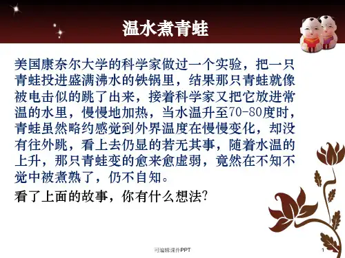 项目风险管理案例分析报告PPT课件