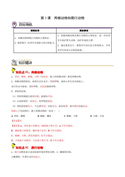 2022-2023学年八年级上学期生物同步精品讲义(人教版)5-1-5 两栖动物和爬行动物(教师版)