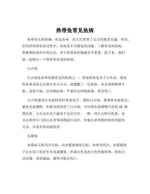 热带鱼常见鱼病