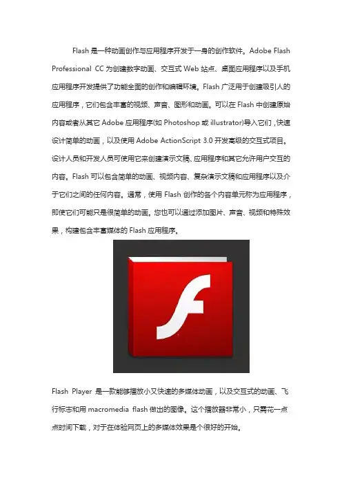 什么是flash