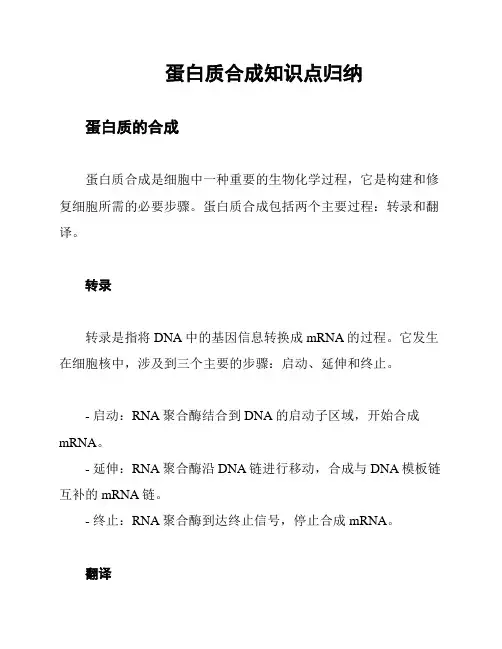 蛋白质合成知识点归纳