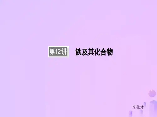 高考化学一轮复习 第12讲 铁及其化合物