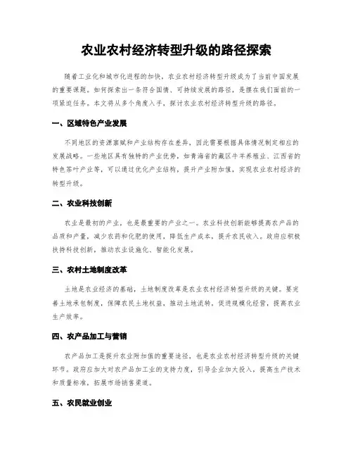农业农村经济转型升级的路径探索
