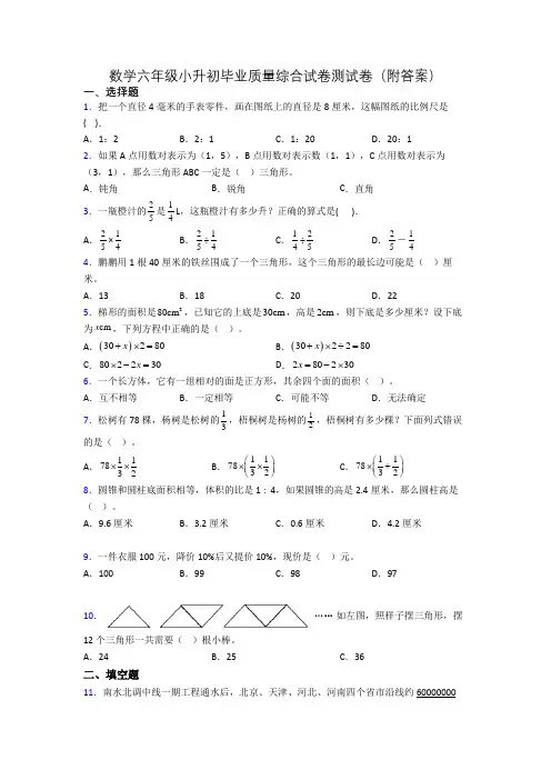 数学六年级小升初毕业质量综合试卷测试卷(附答案)