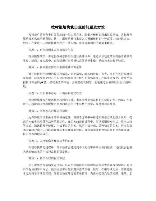 桉树组培快繁出现的问题及对策