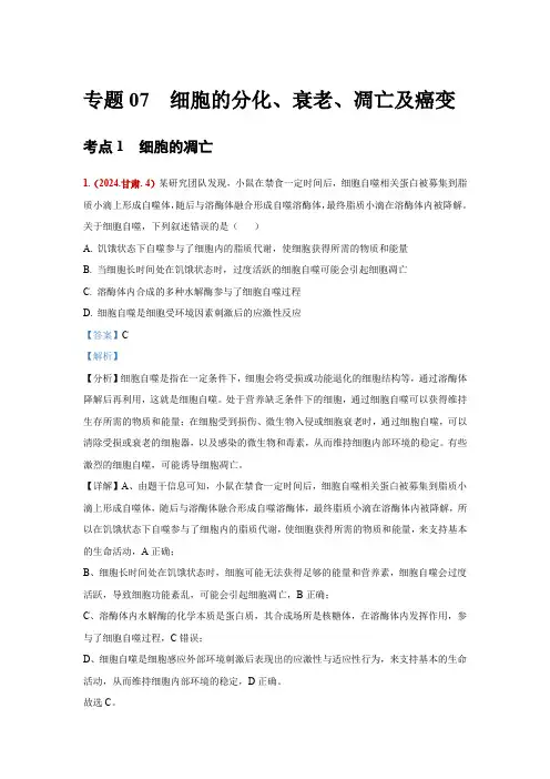 2024年生物高考真题分类汇编—专题07  细胞的分化、衰老、凋亡及癌变
