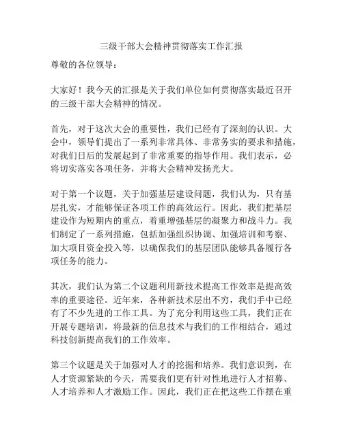 三级干部大会精神贯彻落实工作汇报