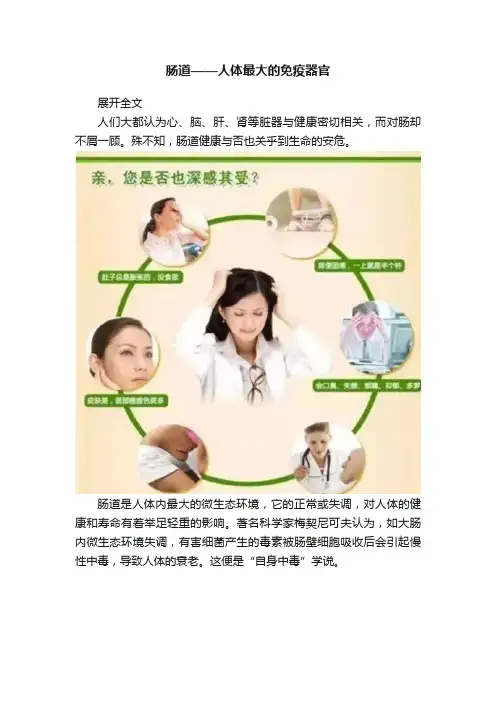 肠道——人体最大的免疫器官